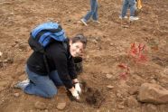 MillionTreesNYC planting in Kissena Corridor Park 