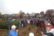 MillionTreesNYC planting in Kissena Corridor Park 