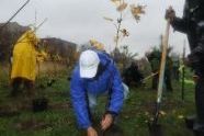 MillionTreesNYC planting with New York Knicks players at Pelham Parkway 