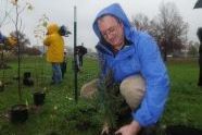 Parks First Deputy Commissioner Liam Kavanagh plants a tree 