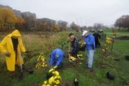 MillionTreesNYC planting with New York Knicks players at Pelham Parkway 