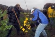 MillionTreesNYC planting with New York Knicks players at Pelham Parkway 