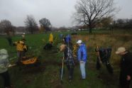 MillionTreesNYC planting with New York Knicks players at Pelham Parkway 