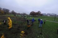 MillionTreesNYC planting with New York Knicks players at Pelham Parkway 