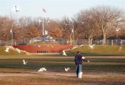 Feeding seagulls 