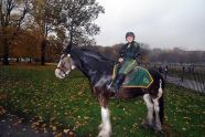 Washington's Evacuation Day Re-enactment 