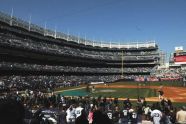 The New Yankee Stadium Bronx, New York 