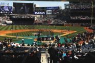 The New Yankee Stadium Bronx, New York 