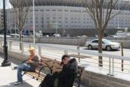 The New Yankee Stadium Bronx, New York 