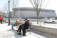 The New Yankee Stadium Bronx, New York 