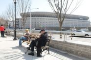 The New Yankee Stadium Bronx, New York 