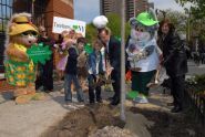 Parks Commissioner, Treetures, and P.S. 234 plant a tree for MillionTreesNYC 