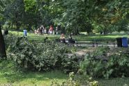 Central Park Storm Damage 