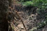 Central Park Storm Damage 