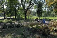 Central Park Storm Damage 