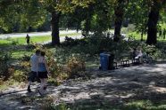 Central Park Storm Damage 