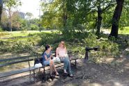 Central Park Storm Damage 