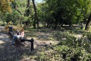 Central Park Storm Damage 