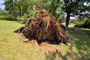 Central Park Storm Damage 