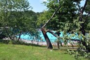 Central Park Storm Damage 