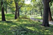 Central Park Storm Damage 