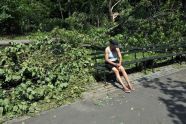 Central Park Storm Damage 