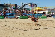 2009 Citywide Beach Volleyball Tournament 