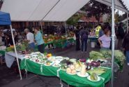 2009 GreenThumb Harvest Fair 