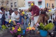 Choosing flowers for their arrangements 