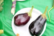 Eggplant 