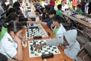 9th Annual Chess-in-the-Parks Rapid Open 