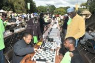 9th Annual Chess-in-the-Parks Rapid Open 