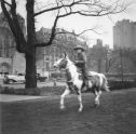 Cowboy on pinto, East Bridle Path 