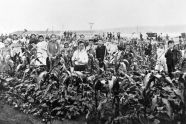 Children take a break from their work at De Witt Clinton Farm Garden to pose for a photo, circa 1902. 