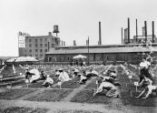 1908 Parks Annual Report image of children tending the De Witt Clinton Park Farm Garden. 