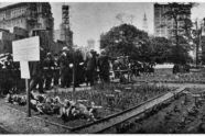 Back Yard Garden Demonstration in Union Square Park 