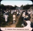 Harvesting Crops 