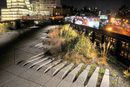 The Highline at Night 