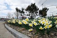 Greenstreet at Cross Bay Boulevard & Pitkin Avenues, Queens 