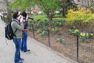 Visitors documenting the flowers, Central Park West Drive 