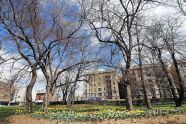 Harlem Meer (110th Street & Lenox Avenue) 