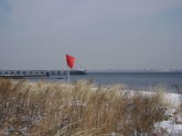 Midland Beach dunes in winter 