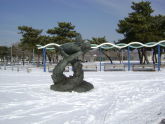 Sea turtle spray shower in snow, Midland Beach  