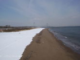 South Beach strand in snow; Verrazano Bridge in distance 