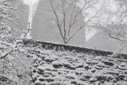 Riverside Park Snow Day 