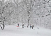 Riverside Park Snow Day 