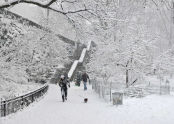 Riverside Park Snow Day 