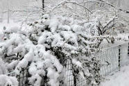 Riverside Park Snow Day 