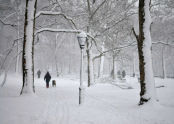 Riverside Park Snow Day 