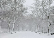 Riverside Park Snow Day 